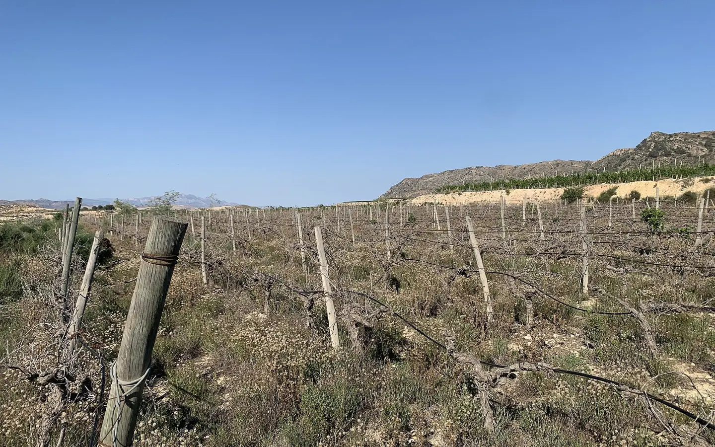Land In Monforte Del Cid, Spain (11.516 M² Plot)