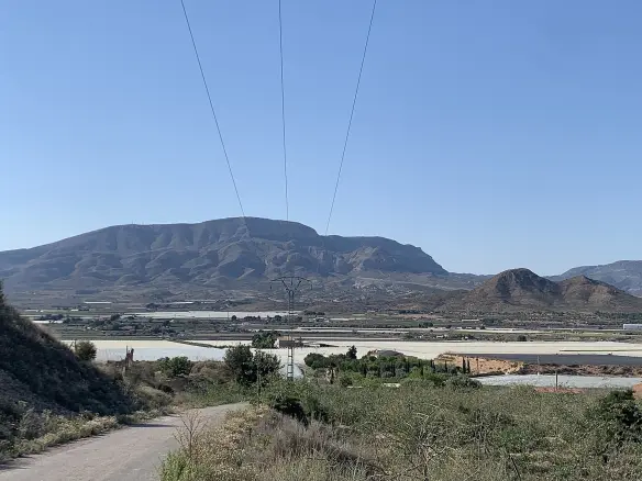 Land In Monforte Del Cid, Spain (11.516 M² Plot)
