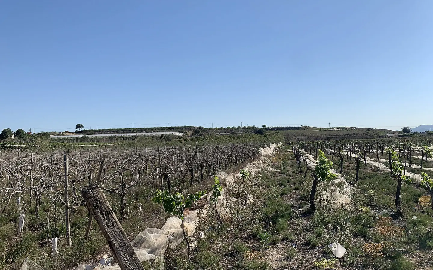 Land In Monforte Del Cid, Spain (17.816 M² Plot)