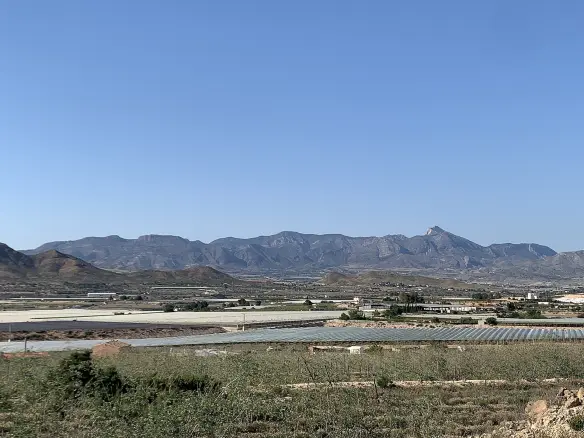 Land In Monforte Del Cid, Spain (11.516 M² Plot)