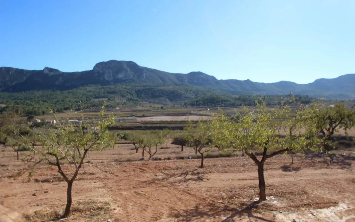 4-bedroom Detached Villa In Hondón De Las Nieves, Spain (155 M²)