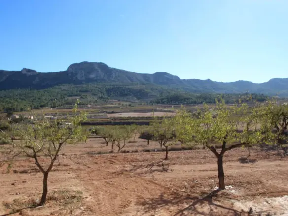 4-bedroom Detached Villa In Hondón De Las Nieves, Spain (155 M²)
