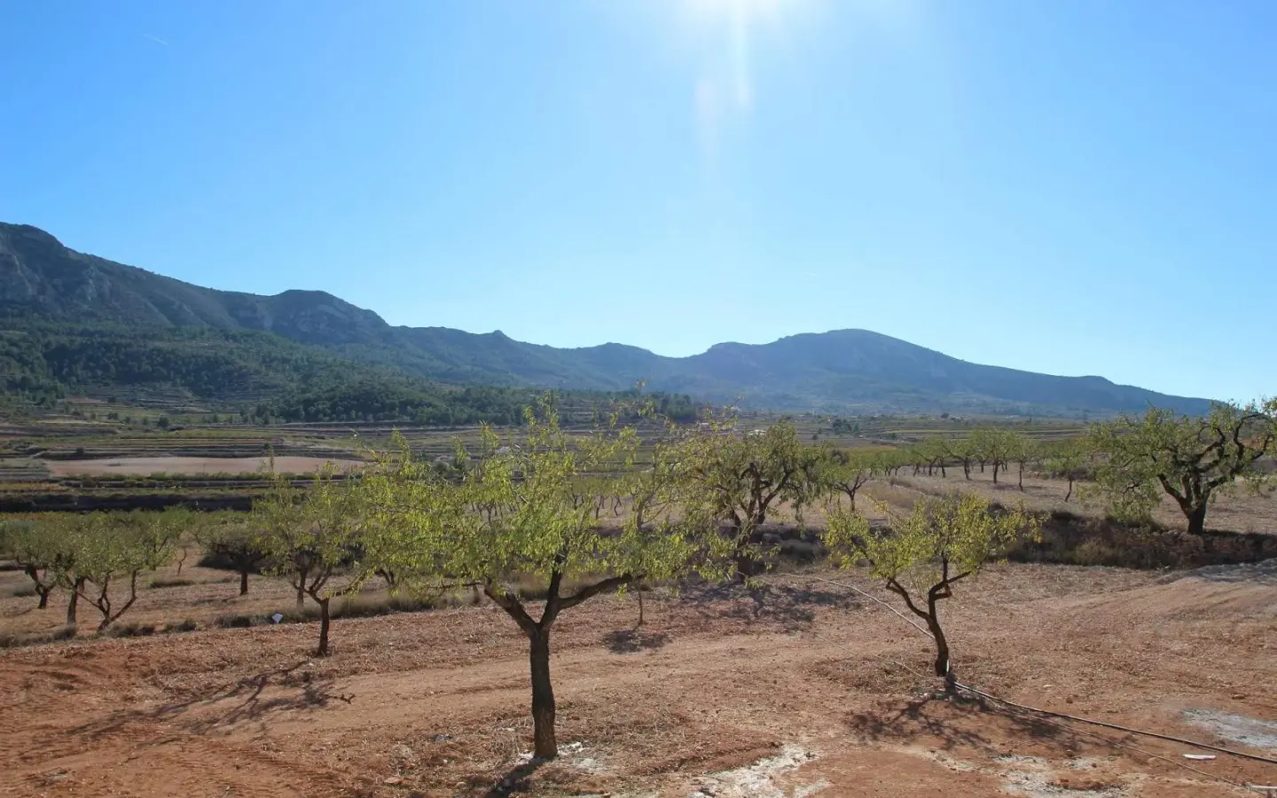 4-bedroom Detached Villa In Hondón De Las Nieves, Spain (155 M²)