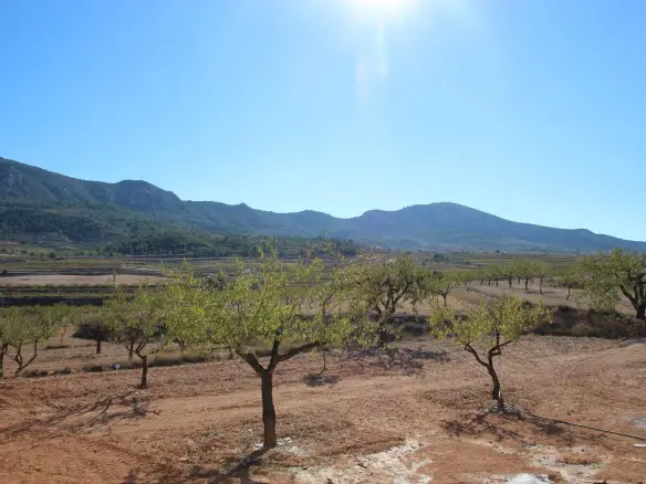 4-bedroom Detached Villa In Hondón De Las Nieves, Spain (155 M²)