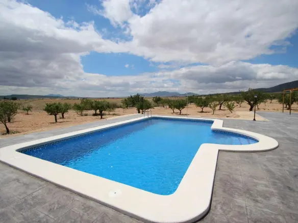 4-bedroom Detached Villa In Pinoso, Spain (150 M²)
