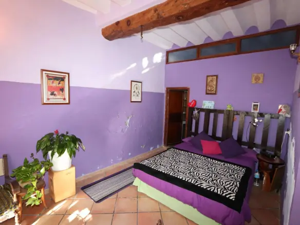 10-bedroom Commercial In Pinoso, Spain (700 M²)