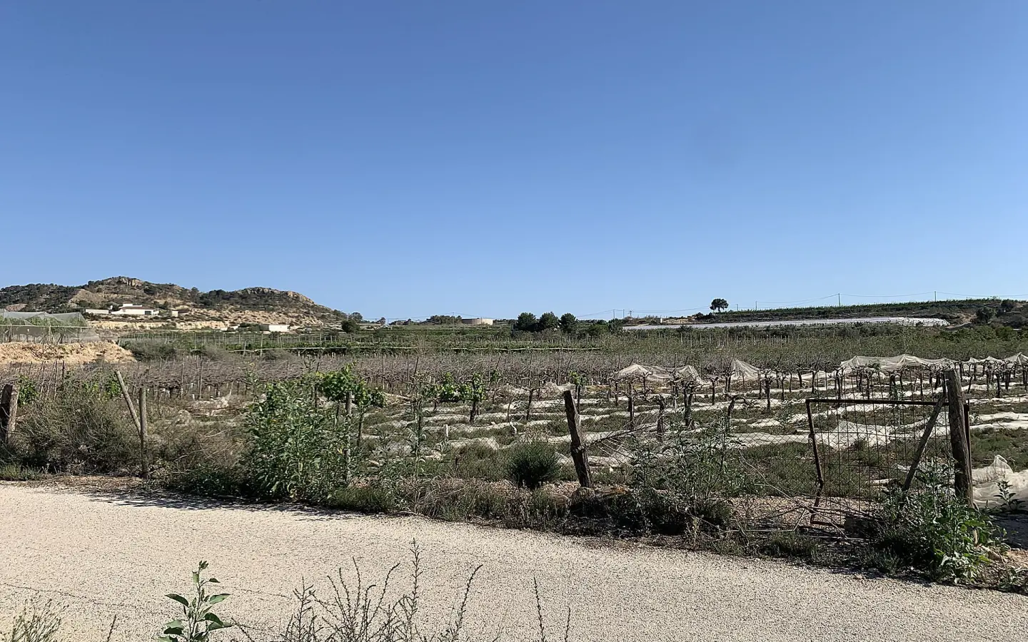 Land In Monforte Del Cid, Spain (17.816 M² Plot)