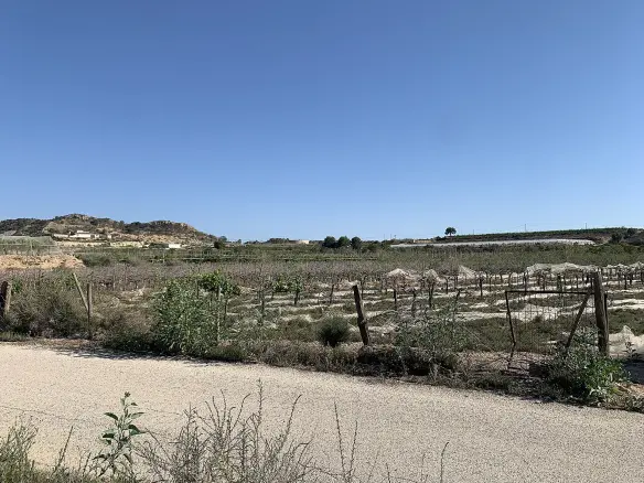 Land In Monforte Del Cid, Spain (17.816 M² Plot)