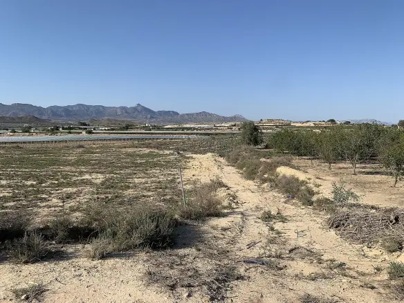 Land In Monforte Del Cid, Spain (17.816 M² Plot)