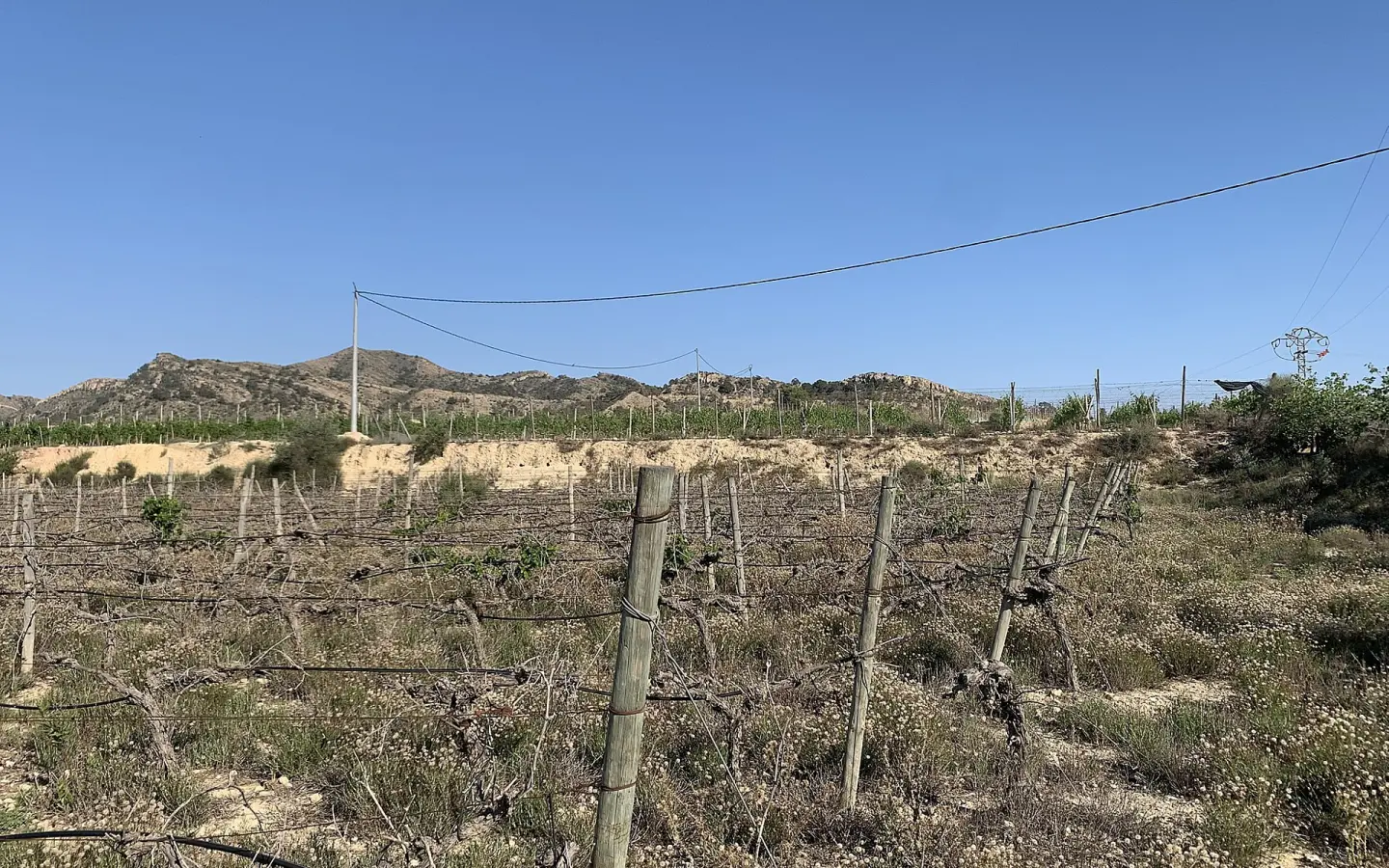 Land In Monforte Del Cid, Spain (11.516 M² Plot)