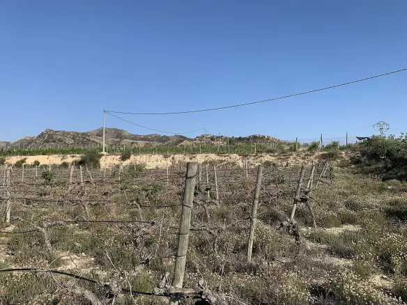 Land In Monforte Del Cid, Spain (11.516 M² Plot)