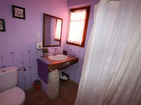 10-bedroom Commercial In Pinoso, Spain (700 M²)