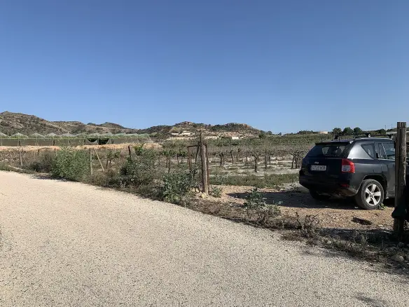 Land In Monforte Del Cid, Spain (17.816 M² Plot)