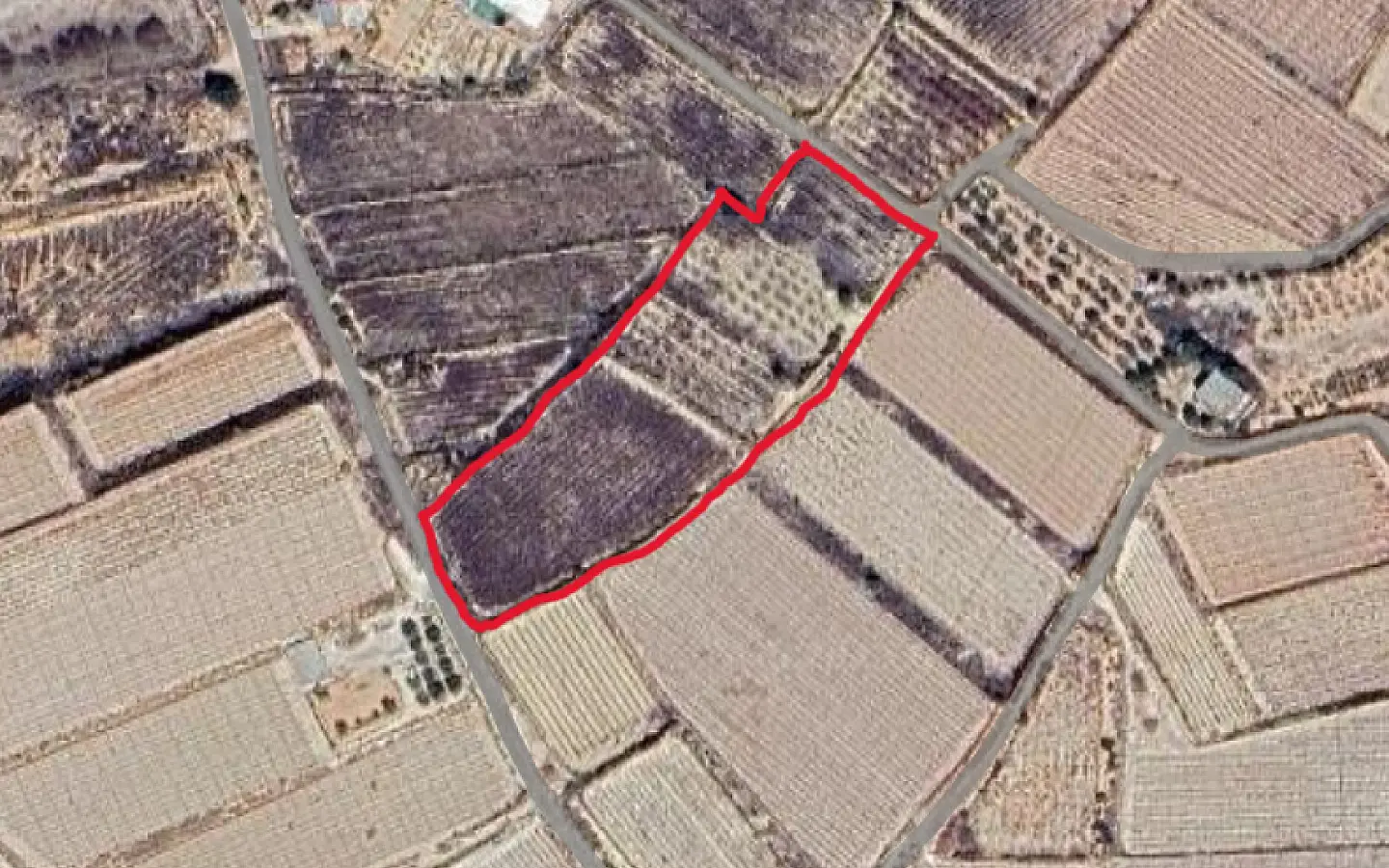 Land In Monforte Del Cid, Spain (11.516 M² Plot)
