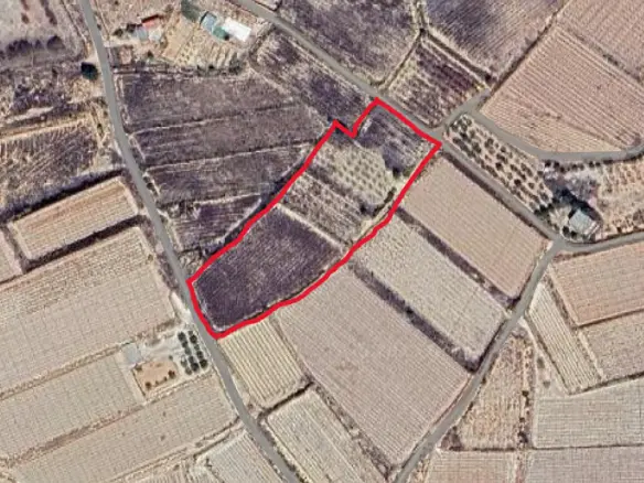 Land In Monforte Del Cid, Spain (11.516 M² Plot)