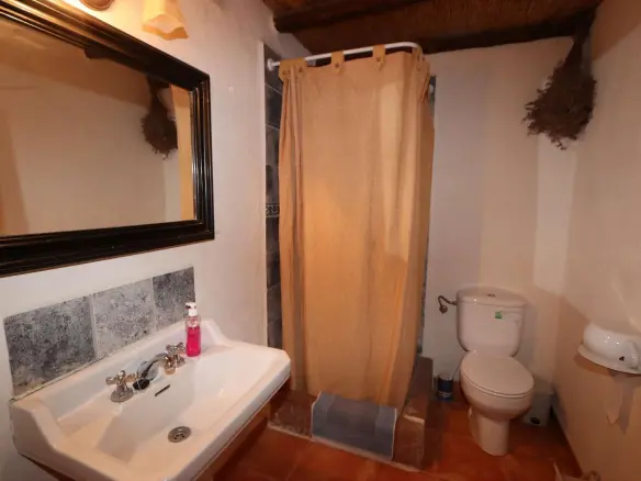 10-bedroom Commercial In Pinoso, Spain (700 M²)
