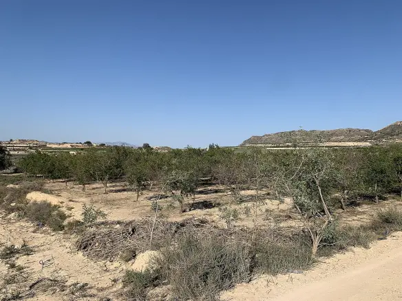 Land In Monforte Del Cid, Spain (17.816 M² Plot)