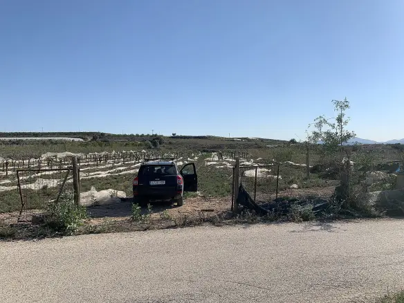 Land In Monforte Del Cid, Spain (17.816 M² Plot)