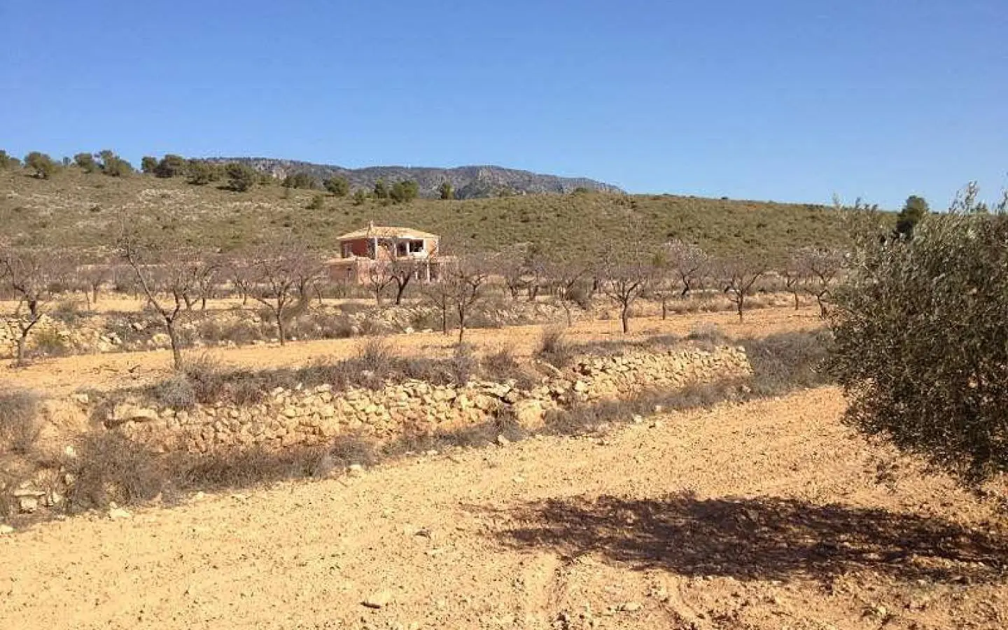 4-bedroom Detached Villa In Pinoso, Spain (150 M²)