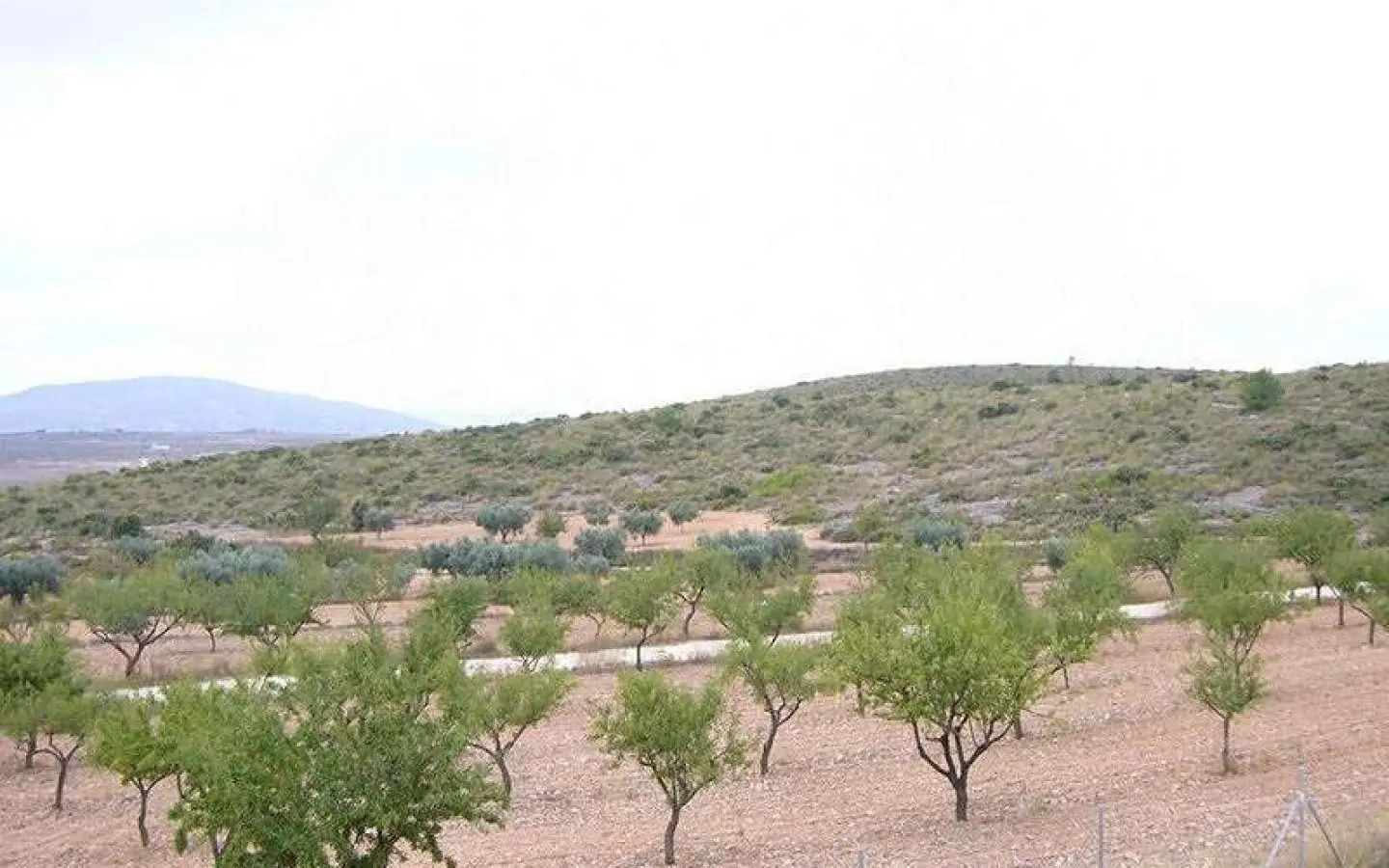 4-bedroom Detached Villa In Pinoso, Spain (150 M²)