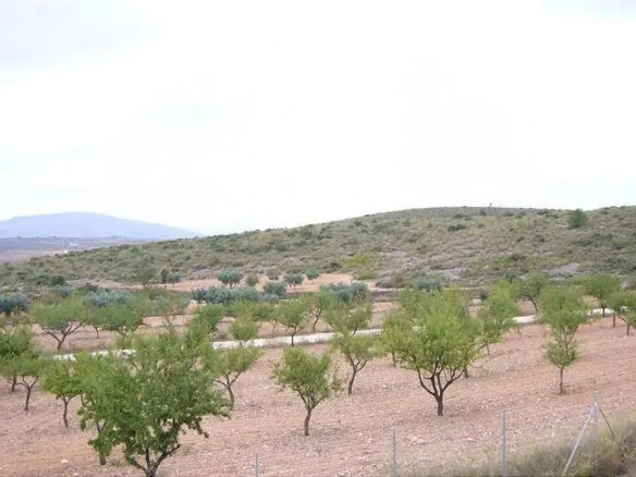 4-bedroom Detached Villa In Pinoso, Spain (150 M²)