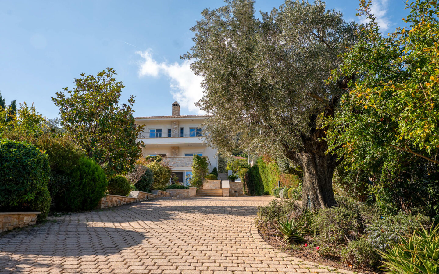 Renovated Villa Near Athens International Airport
