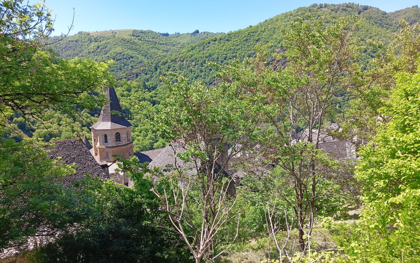 Maison Médiévale 250 M² Avec Vue Sur Abbatiale, 4 Chambres, Jardin Sans Vis-à-vis Et Ancienne échoppe