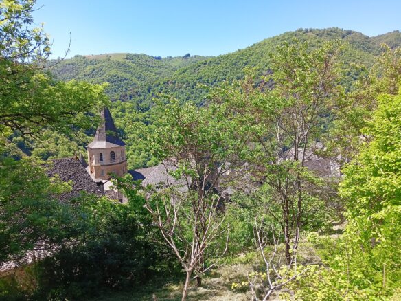 Maison Médiévale 250 M² Avec Vue Sur Abbatiale, 4 Chambres, Jardin Sans Vis-à-vis Et Ancienne échoppe