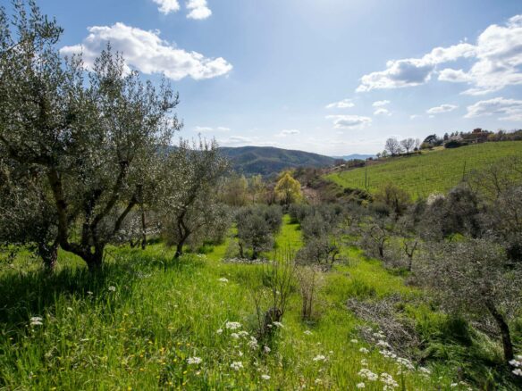 Emozioni Toscane