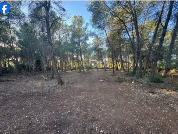 Terreno Rústico De Venta