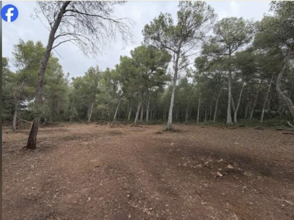 Terreno Rústico De Venta