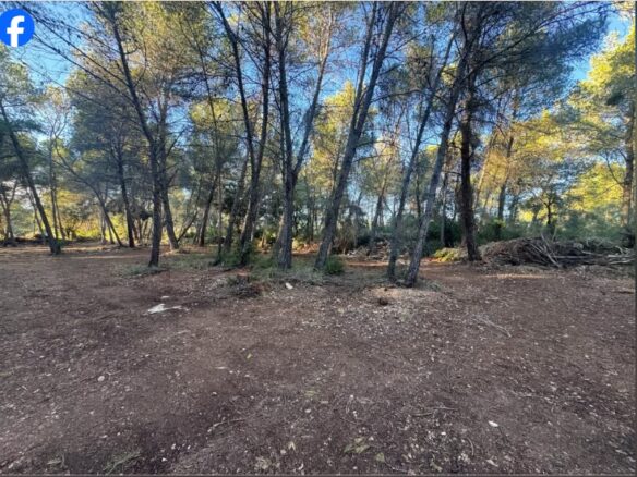 Terreno Rústico De Venta