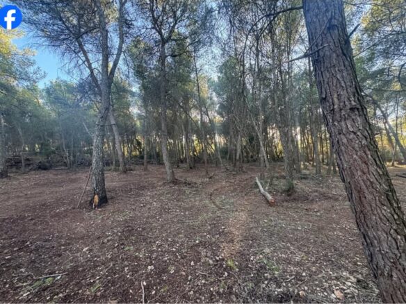 Terreno Rústico De Venta