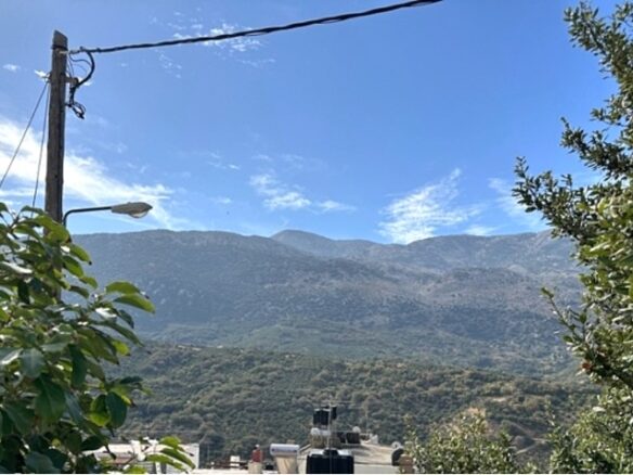 Renovation Project With Garden Area In East Crete