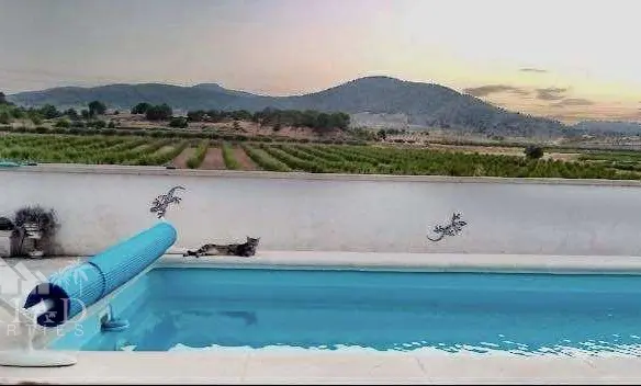 5-bedroom Finca In Yecla, Spain (514 M²)