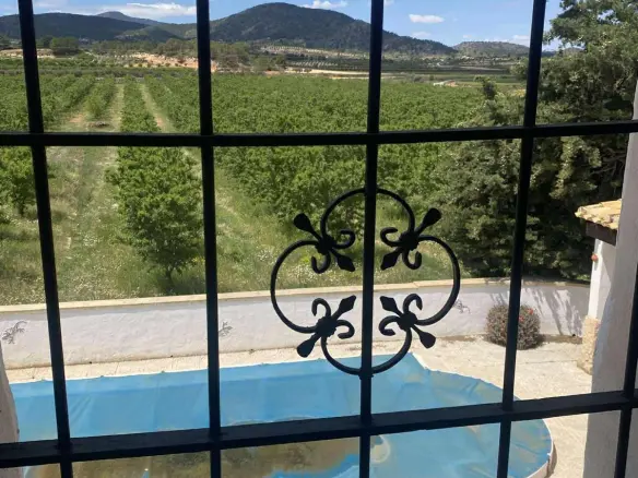 5-bedroom Finca In Yecla, Spain (514 M²)