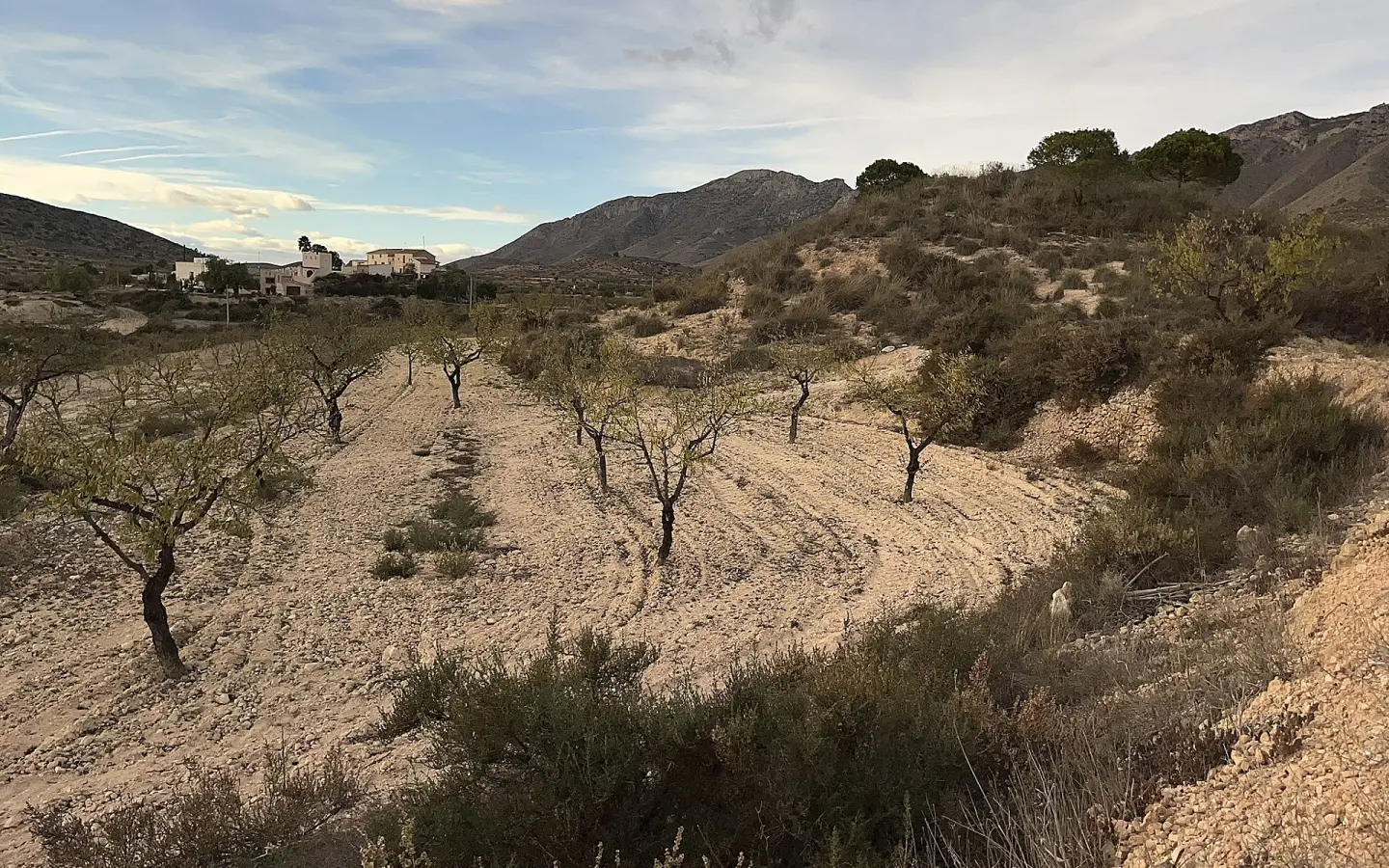 8-bedroom Country House In Hondón De Las Nieves, Spain (415 M²)