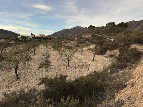 8-bedroom Country House In Hondón De Las Nieves, Spain (415 M²)