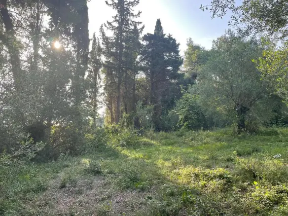 Land In Corfu, Greece