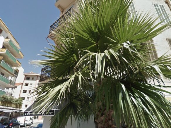 Three-bedroom Apartment 300m From Beaches In Cannes Center