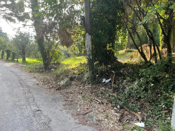 Land In Corfu, Greece
