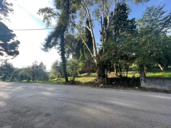 Land In Corfu, Greece