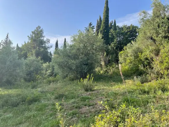 Land In Corfu, Greece