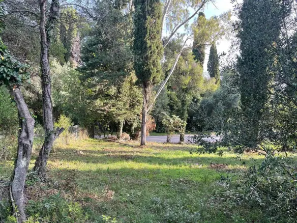 For Sale Land 3321 M² In Corfu