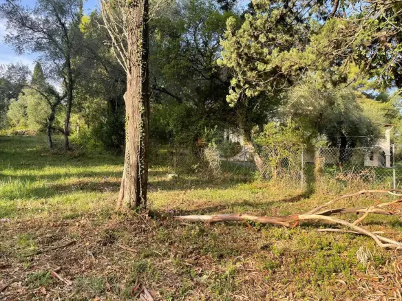 Land In Corfu, Greece