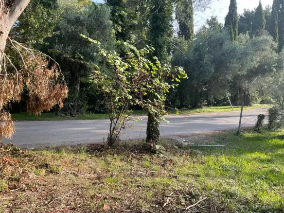 Land In Corfu, Greece