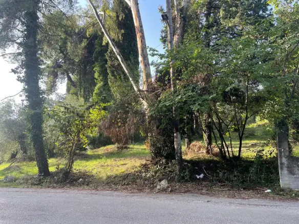 Land In Corfu, Greece