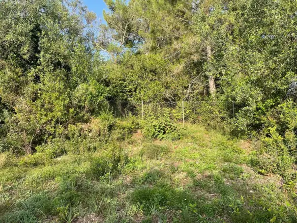 Land In Corfu, Greece