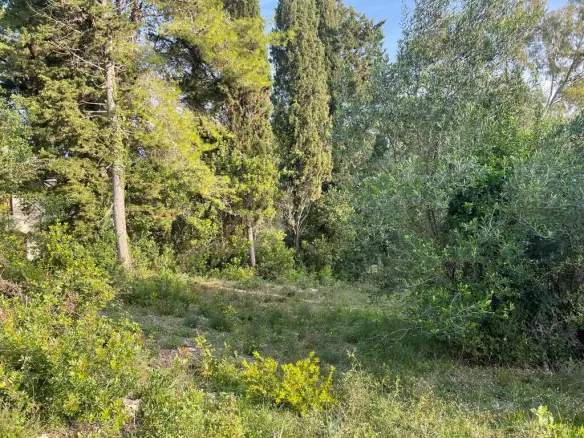 Land In Corfu, Greece
