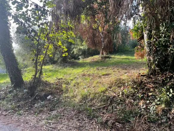 Land In Corfu, Greece